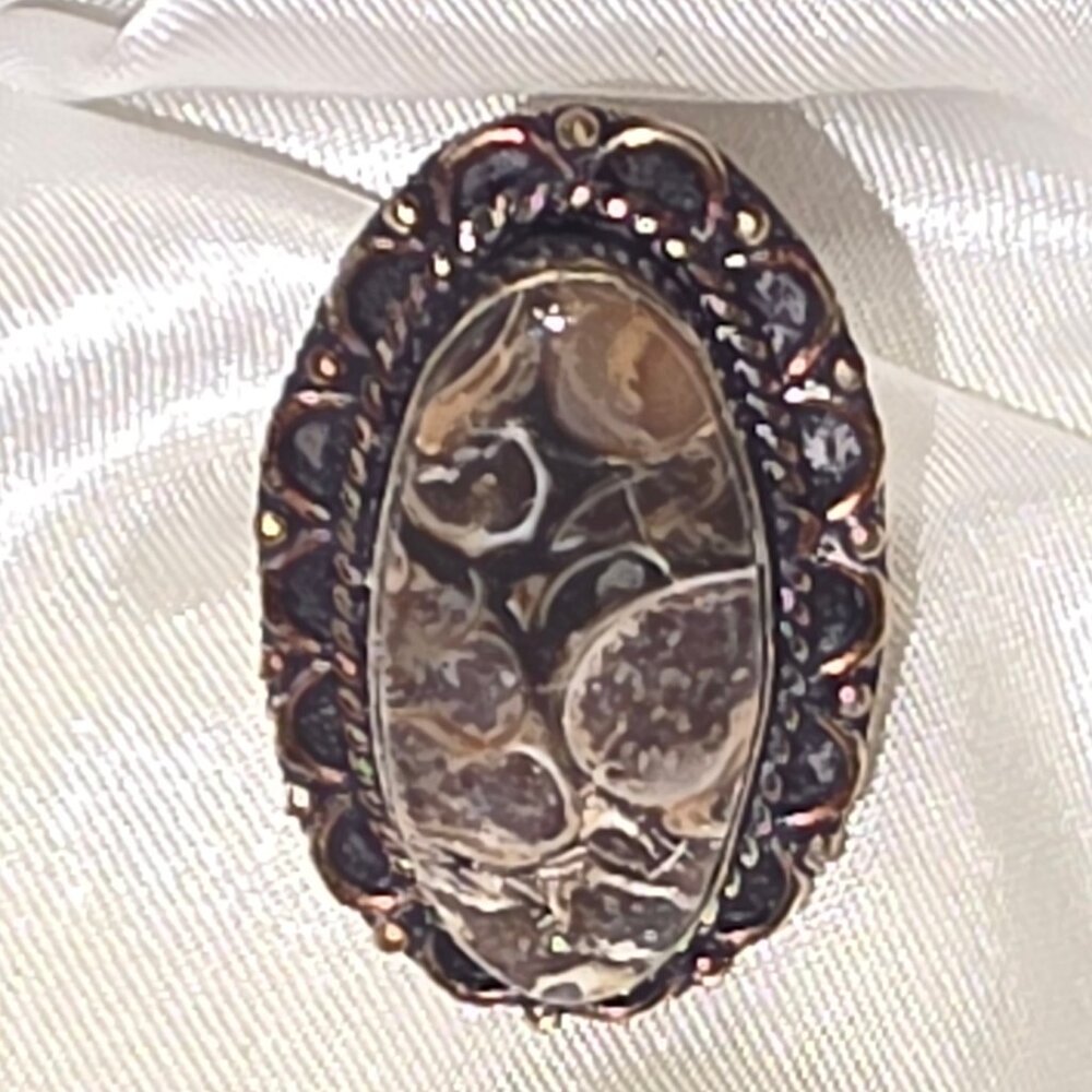 Turritella Fossil Silver Plated Handmade Ring of US Size 6.5